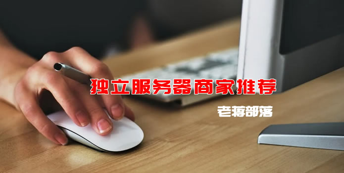 常用独立服务器和高防服务器及多IP站群服务器租用商家推荐缩略图
