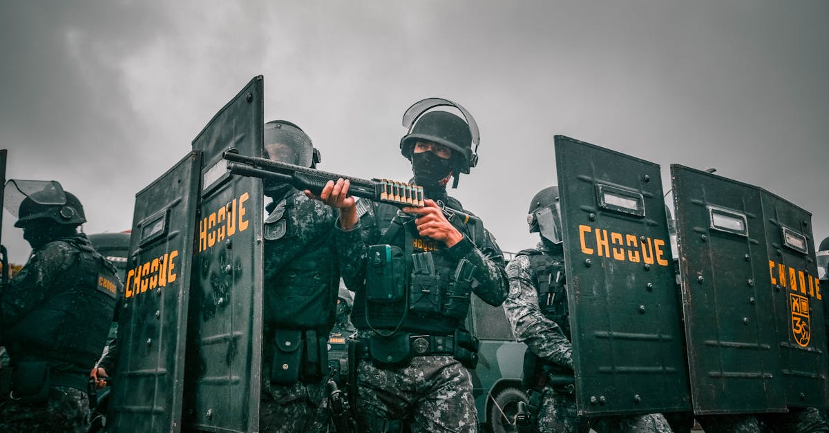 星际战甲（国际服）：爬宠购买平台