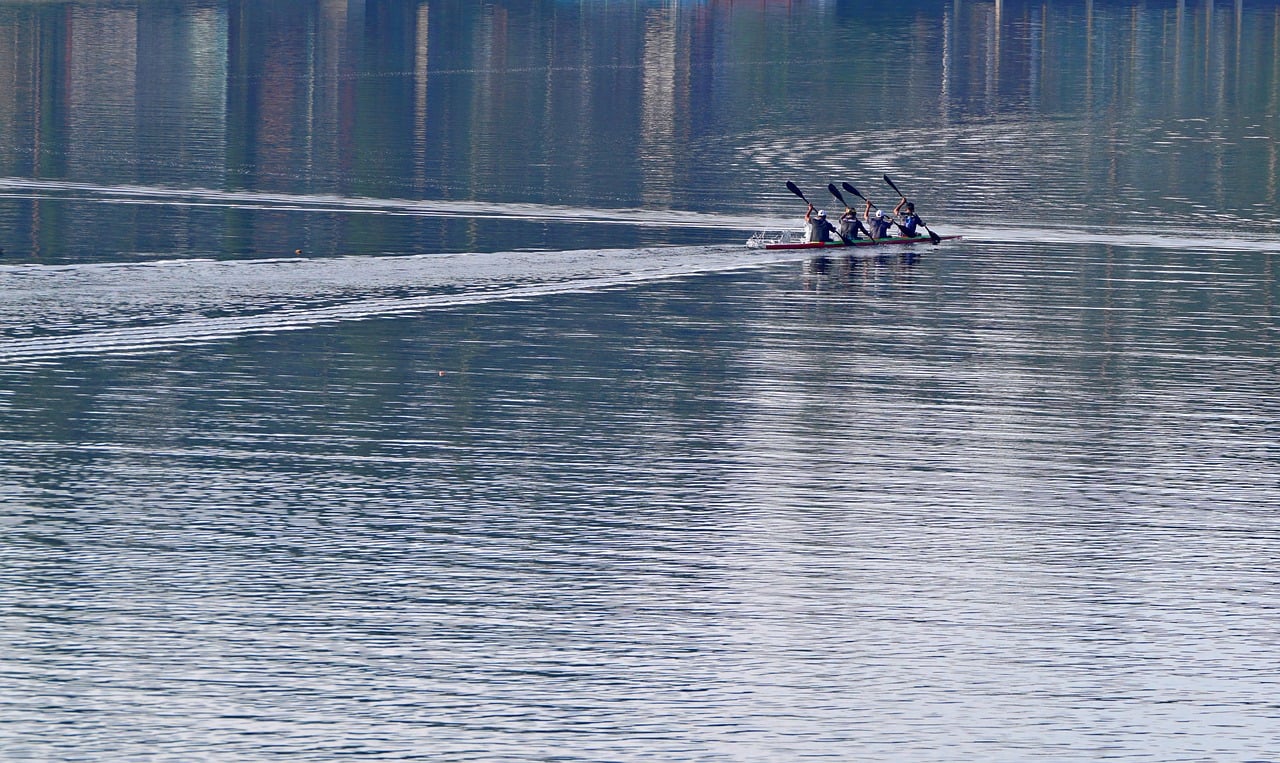 ZEST星空侧推芒果爆珠:郴州 公司注册 代理