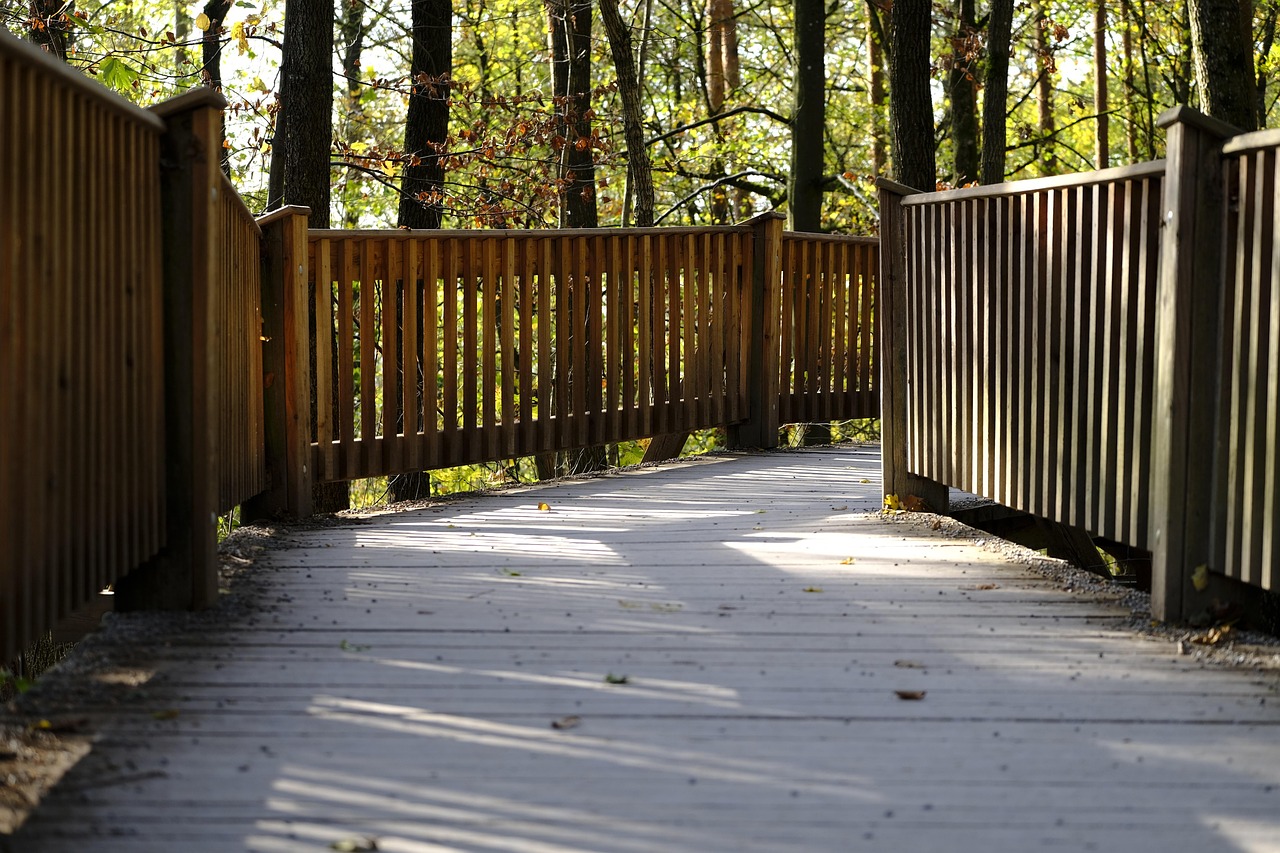 终结战场:薇诺娜平台代理加盟