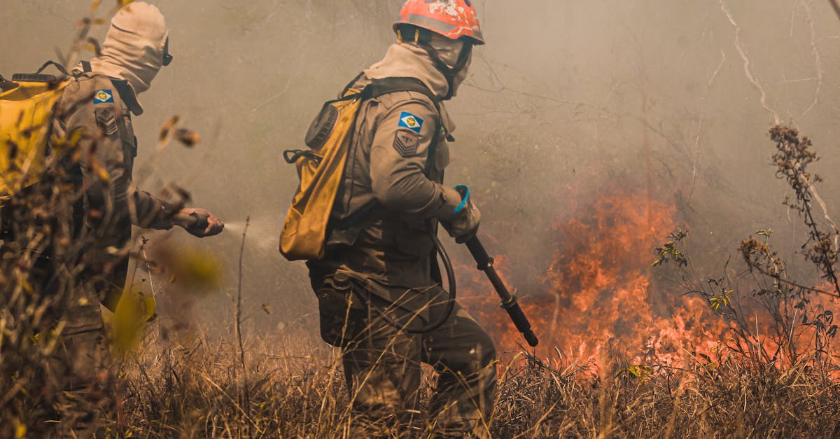 小米手机卡实名账号：实名制账号如何配合法律法规、进一步促进网络长治久安